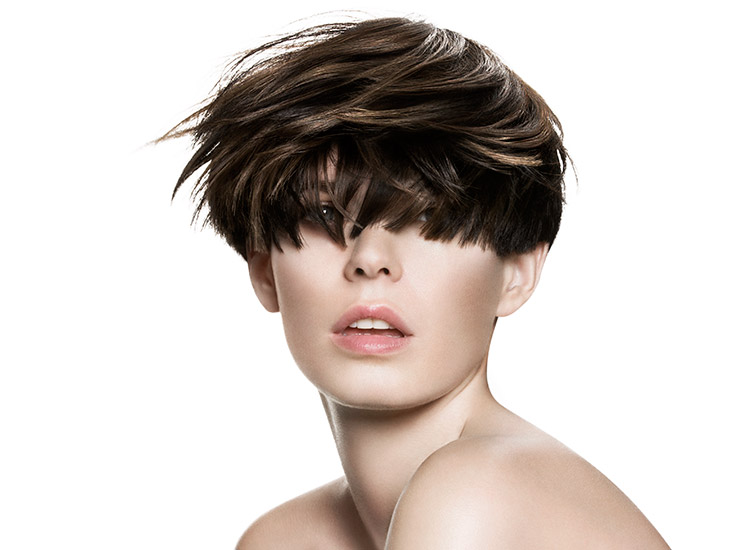 Retouche Cheveux - Subtil