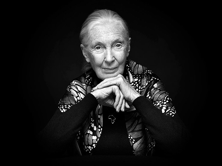 Retouche Jane Goodall